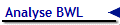 Analyse BWL